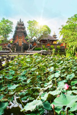 Ubud, Bali, Endonezya - Nisan 2017: Çok güzel tapınak Lotus, Saraswati Tapınağı Ubud, Bali