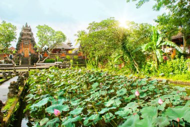 Ubud, Bali, Endonezya - Nisan 2017: Çok güzel tapınak Lotus, Saraswati Tapınağı Ubud, Bali