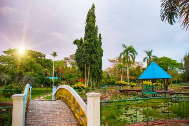KOTA KINABALU, SABAH, MALAYSIA - 2017 BÜYÜK: Parktaki köprüde akşam vakti su zambakları ile kaplı gölet. Sabah, Malezya. Kota Kinabalu