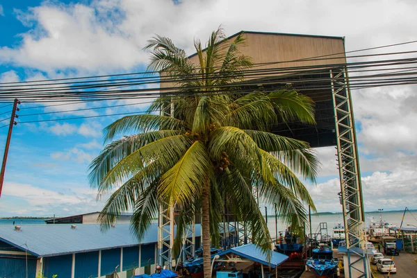 Byggnaden Hamnen Och Moskén Grå Sandakan Stad Borneo Sabah Malaysia — Stockfoto