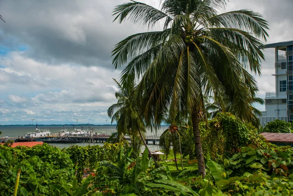 Zone Portuaire Les Palmiers Ville Sandakan Bornéo Sabah Malaisie — Photo