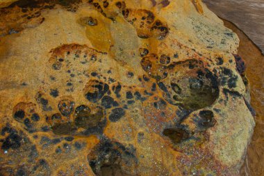 BAKO, KUCHING, SARAWAK, BORNEO, MALAYSIA: Kuching yakınlarındaki dağ manzaralı Bako Ulusal Parkı manzaralı güzel manzara