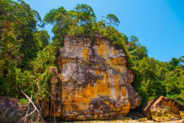 BAKO, KUCHING, SARAWAK, BORNEO, MALAYSIA: Kuching yakınlarındaki dağ manzaralı Bako Ulusal Parkı manzaralı güzel manzara