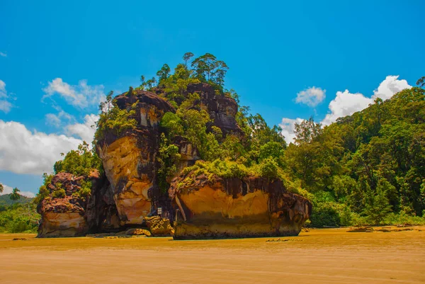Bako Kuching Sarawak Borneo Malaysia Bellissimo Paesaggio Con Vista Sulla — Foto Stock