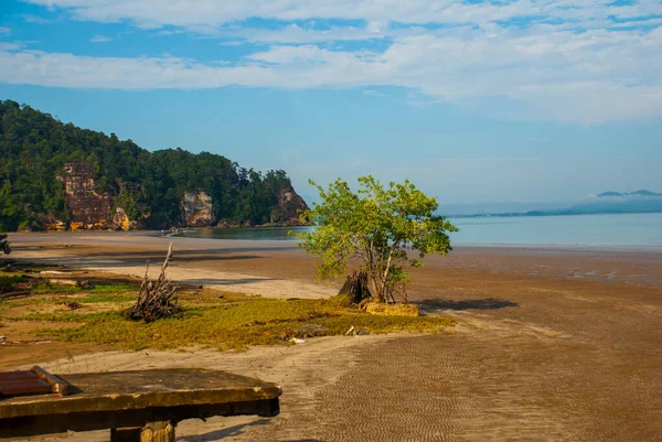 Bako Kuching Sarawak Borneo Malaysia Bellissimo Paesaggio Con Vista Sulla — Foto Stock