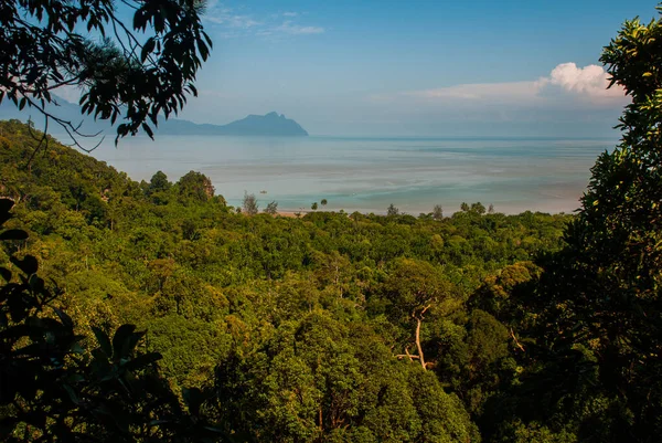 Bako Kuching Sarawak Borneo Malasia Hermoso Paisaje Con Vistas Parque — Foto de Stock