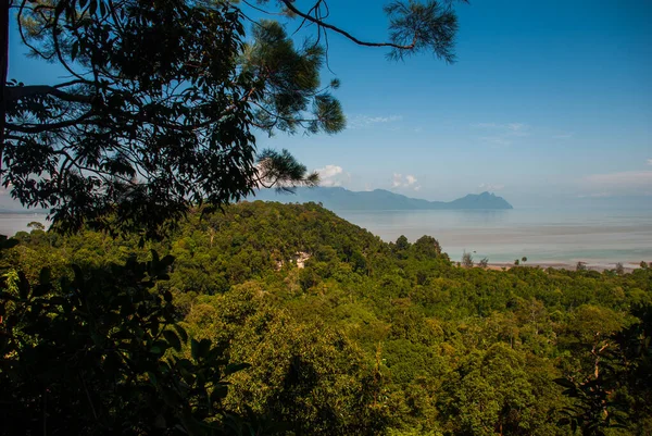 Bako Kuching Sarawak Borneo Malasia Hermoso Paisaje Con Vistas Parque — Foto de Stock