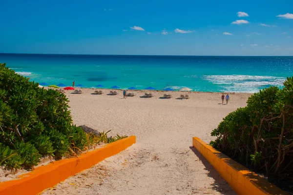 Mexico Cancun March 2018 Exotic Paradise 热带旅游胜地 加勒比海 加勒比的墨西哥热带海滩 — 图库照片