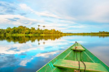 Amazon nehrinin kıyısında yoğun bir orman ve mavi gökyüzü, Anazonas, Brezilya. Güney Amerika