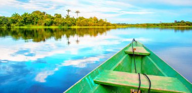 Amazon nehrinin kıyısında yoğun bir orman ve mavi gökyüzü, Anazonas, Brezilya. Güney Amerika