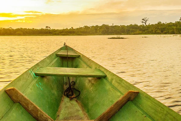 美丽的日出在河上 从亚马逊河上的小船上俯瞰 海岸上有茂密的森林 蓝天蓝天 巴西安纳托纳 — 图库照片