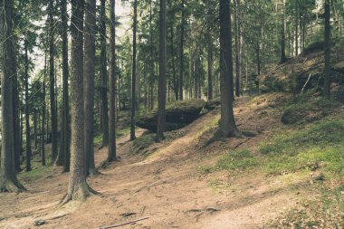 Kanlı stolowe, Polonya