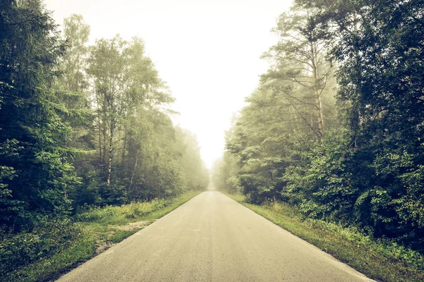 Route vide par la forêt Images De Stock Libres De Droits