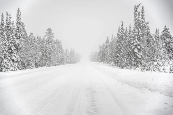 Дорога через снег — стоковое фото