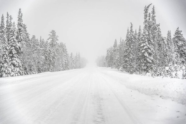 Road through snow