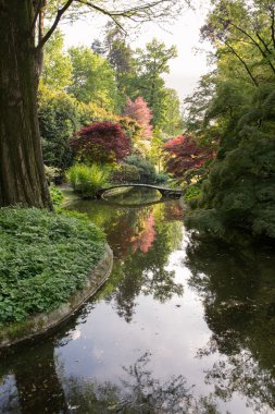 Japon bahçe Villa Leonardo'nun köşede