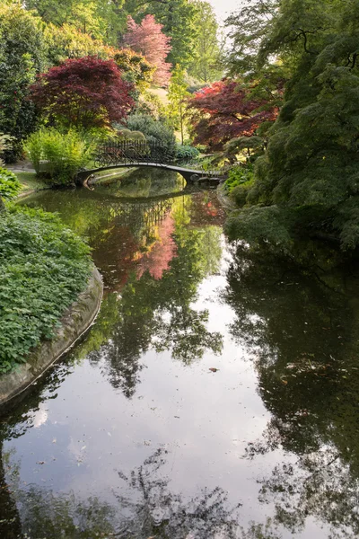 Japanese corner in the garden of villa Melzi