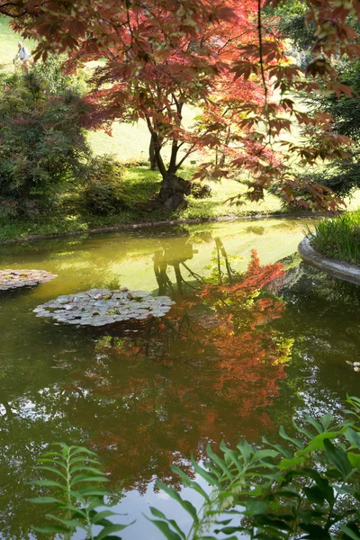 Rincón japonés en el jardín de la villa Melzi — Foto de Stock