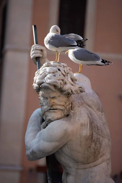 Фонтан Нептуна Площади Навона Риме — стоковое фото