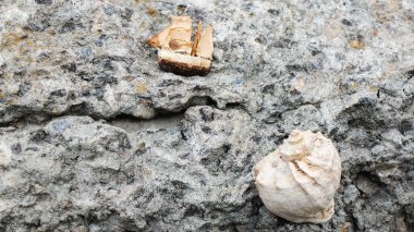  Küçük tuğla ve kabuk kaba taştan bir arka planda