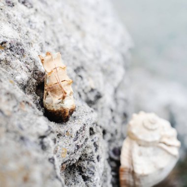 Gri kayanın üzerinde küçük bir tuğla.