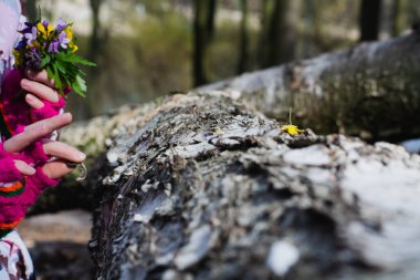 Çocuk kulpları huş ağacının arka planında küçük bir buket bahar çiçeği tutuyor, yatay format, kapat.