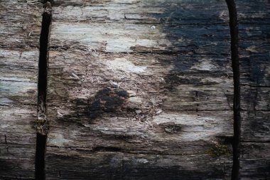 Kaba bir günlük kaydının arka planı, yakın plan, kes, kasvetli tonlarName.