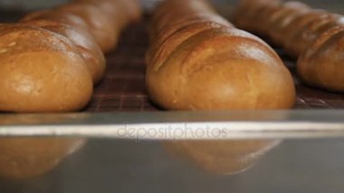 Ekmek. Pişmiş somun taşıyıcı bant yakın çekim hareket.