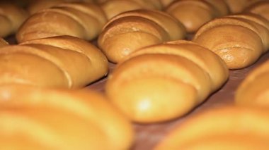 Ekmek. Pişmiş somun taşıyıcı bant yakın çekim hareket.