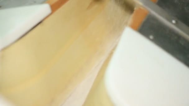 Хлібопекарня. Тісто формується в хліб на конвеєрі — стокове відео