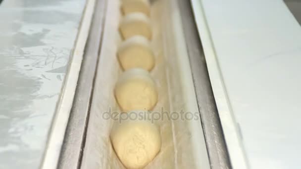 Αρτοποιείο. Unbaked σχήμα καρβέλια κινούνται κατά μήκος του μεταφορέα — Αρχείο Βίντεο