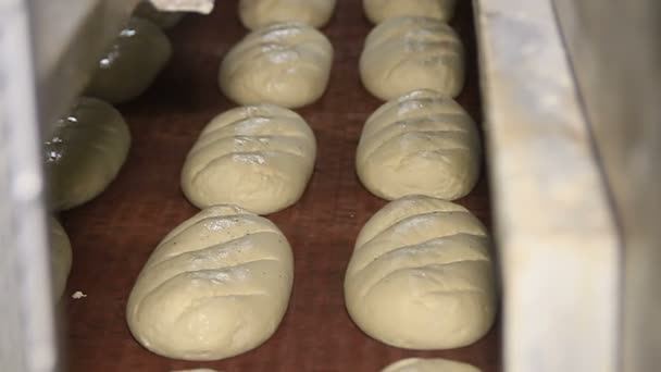 Bäckerei. Ungebackene Laibe bewegen sich auf dem Band — Stockvideo