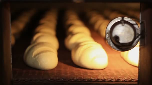 Bakkerij. Broden worden gebakken in de oven — Stockvideo