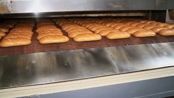 Panadería. Los panes horneados se mueven a lo largo de la cinta transportadora — Vídeos de Stock