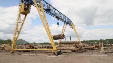 Kereste fabrikası. Vinç günlükleri taşır