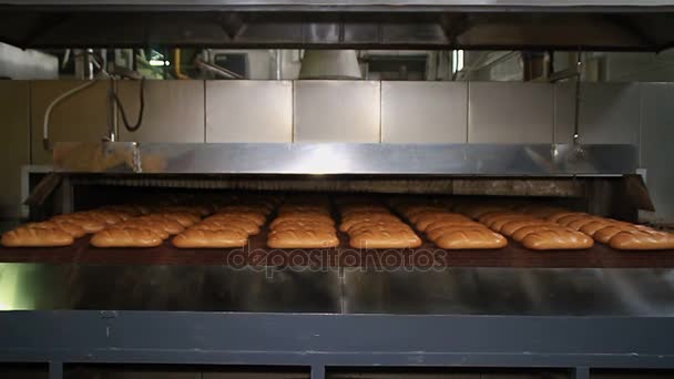 Padaria. Os pães cozidos movem-se ao longo da correia transportadora — Vídeo de Stock