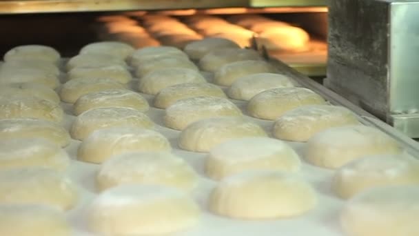 Panadería. El hombre inserta un plato con el pan formado en el horno . — Vídeos de Stock