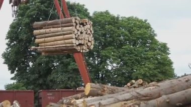 Kereste fabrikası. Vinç günlükleri taşır.