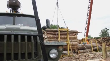 Kereste fabrikası. Vinç günlükleri kaldırdı. Kamyon.