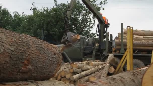 Un aserradero. Un trabajador con una grúa en un camión lleva troncos . — Vídeos de Stock