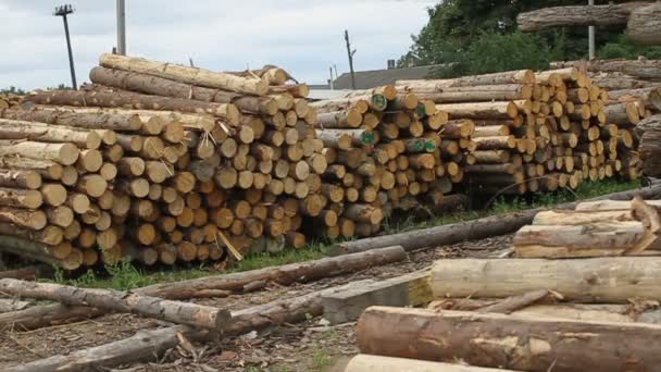Sawmill. Crane behind logs — Stock Video