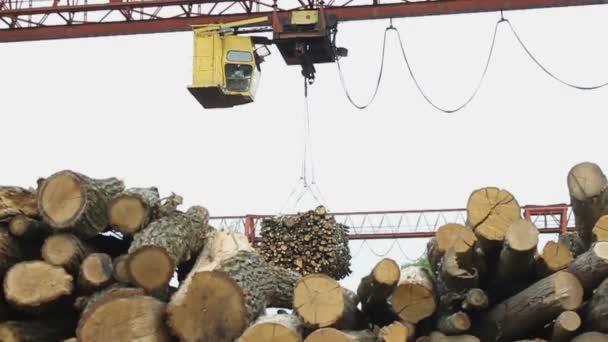 Scierie. La grue soulève des billes — Video