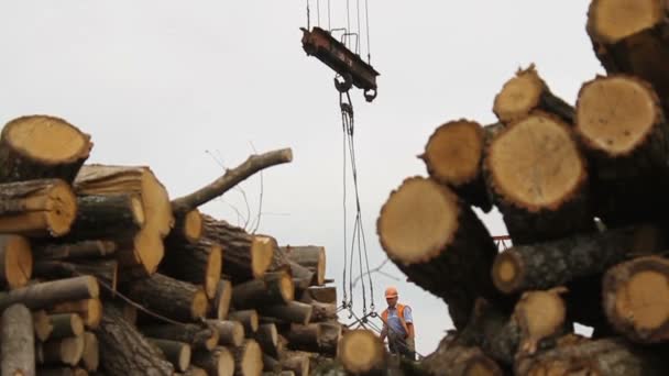 Sawmill. Crane behind logs — Stock Video