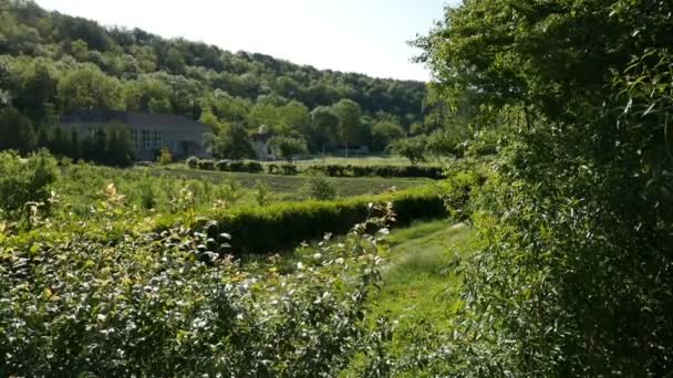 Village dans la prairie verte — Video