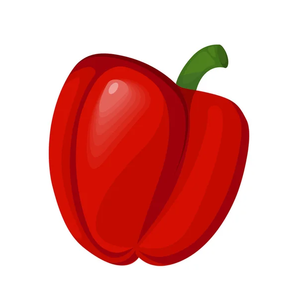 Imagen vectorial de pimiento rojo dulce aislado sobre un fondo blanco — Archivo Imágenes Vectoriales