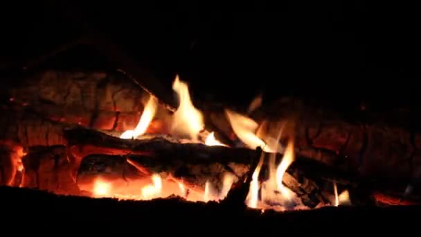 Feu de nuit brûle avec du bois la nuit — Video