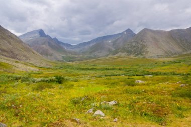 Ufukta dağlar manzaraları ile subpolar Urals Tundra