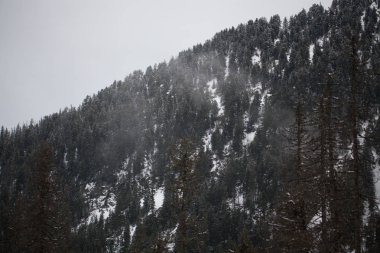 Dağlar - Zakopane kış - tek renkli
