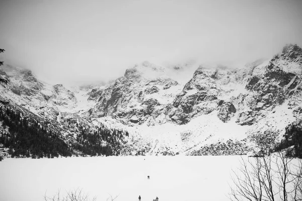 山-在冬天扎科帕内-单色 — 图库照片