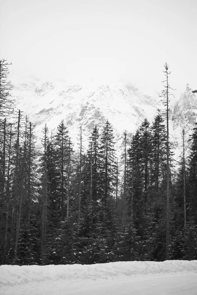 Góry - Zakopane w okresie zimowym - monochromatyczne — Zdjęcie stockowe